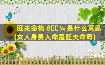 旺夫命格 🌼 是什么意思(女人身男人命是旺夫命吗)
